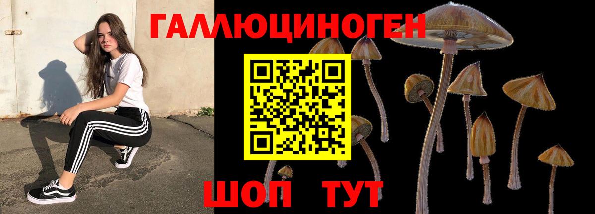 Галлюциногенные грибы Cubensis  Вход с VPN  Псилоцибиновые грибы прущие грибы  Королёв 